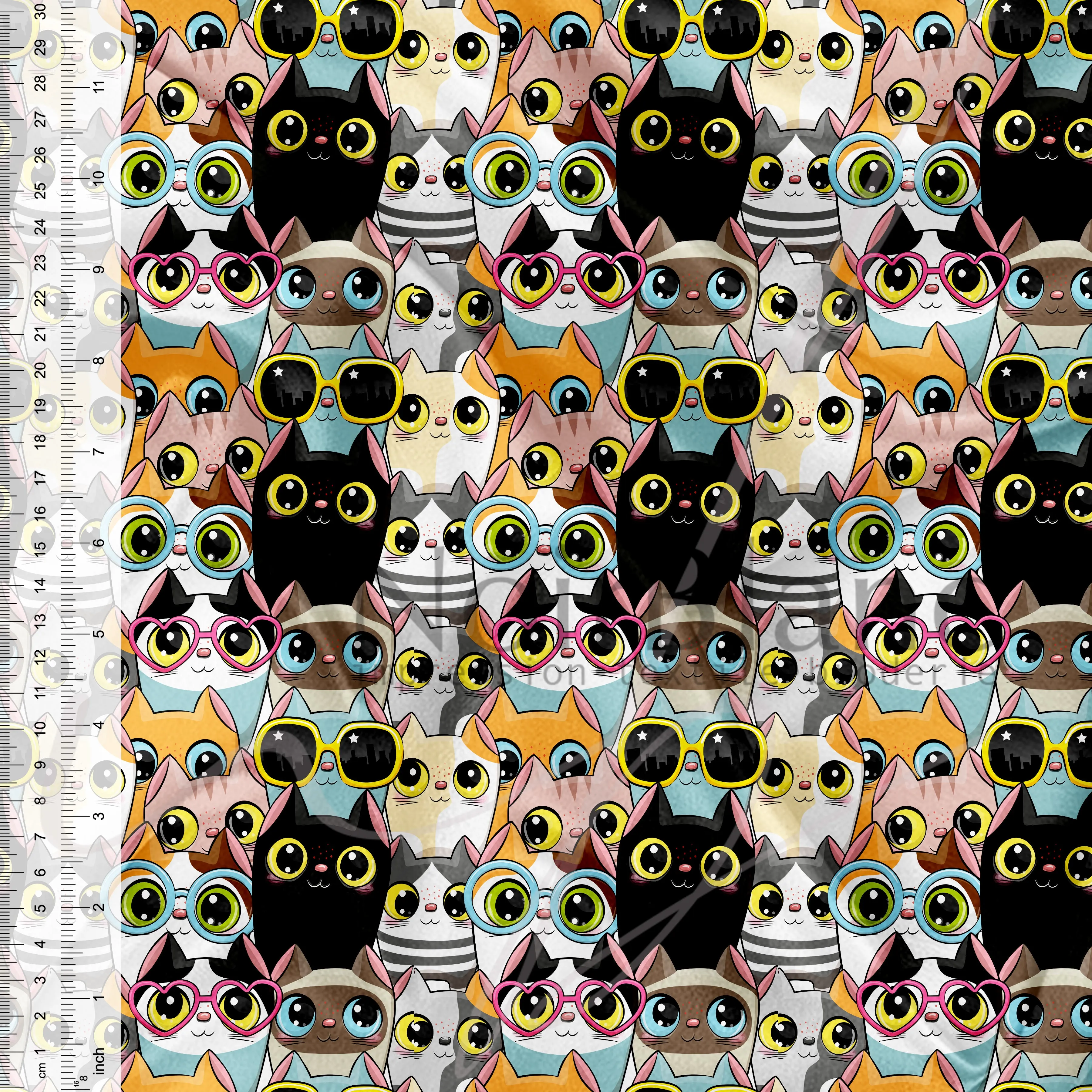 Chats éclatés